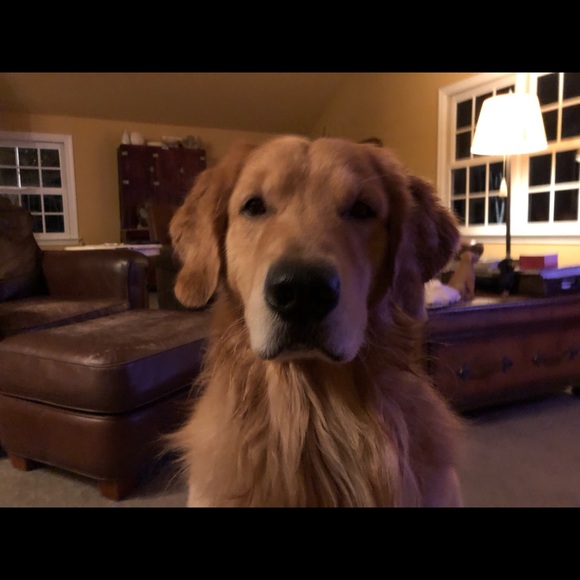 Meet your Posher, Christina - Picture 5 of 8